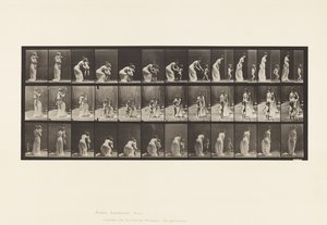 Płyta 215. Umieszczanie dziecka autorstwa Eadweard Muybridge