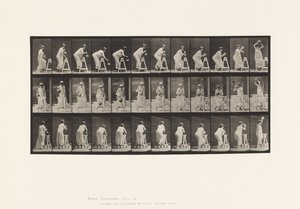 Płyta 216. Zginanie w celu napełnienia słoika z wodą; Umieszczanie słoika na głowie autorstwa Eadweard Muybridge