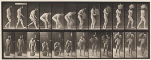 Płyta 218. Pochylanie się i podnoszenie pełnego gąsiora na ramię autorstwa Eadweard Muybridge