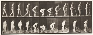 Tabliczka 219. Pochylanie i podnoszenie miotły i zamiatanie autorstwa Eadweard Muybridge
