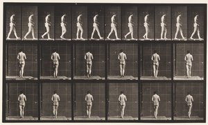 Płyta 21. Chodzenie, oba łokcie zgięte autorstwa Eadweard Muybridge