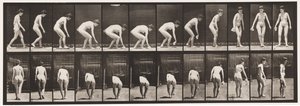 Płyta 220. Pochylanie i podnoszenie chustki i obracanie autorstwa Eadweard Muybridge
