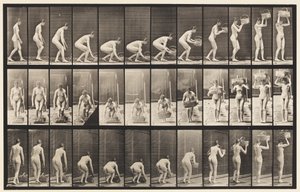 Płyta 221. Pochylanie i podnoszenie 12-funtowego kosza do głowy autorstwa Eadweard Muybridge