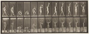 Talerz 222. Pochylanie i podnoszenie słoika z wodą do głowy i obracanie autorstwa Eadweard Muybridge