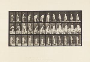 Płyta 229. Umieszczanie kosza na ziemi i obracanie autorstwa Eadweard Muybridge