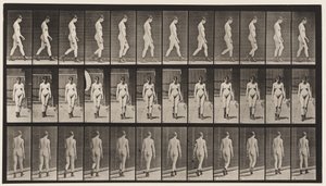 Płyta 22. Chodzenie, w butach na wysokim obcasie, 1872-1885 autorstwa Eadweard Muybridge