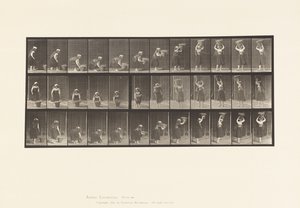 Talerz 230. Podnoszenie 30-funtowego kosza od ziemi do głowy, obracanie, 1885 autorstwa Eadweard Muybridge