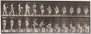 Talerz 237. Siadanie na krześle i otwieranie wentylatora, 1872-1885 autorstwa Eadweard Muybridge