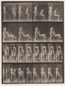 Tabliczka 239. Dwa modele; jeden stojący, drugi siedzący, skrzyżowane nogi autorstwa Eadweard Muybridge