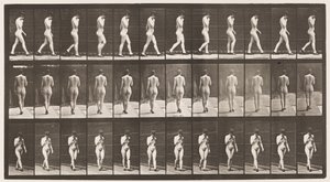 Płyta 23. Chodzenie, prawa ręka przy brodzie, buty na wysokim obcasie autorstwa Eadweard Muybridge