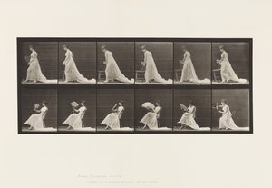 Talerz 242. Umieszczanie krzesła, siedzenie i flirtowanie z wachlarzem, 1885 autorstwa Eadweard Muybridge