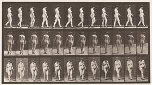 Płyta 24. Chodzenie z butami na wysokim obcasie autorstwa Eadweard Muybridge