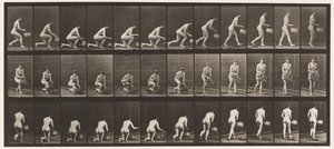 Talerz 251. Klękanie na lewym kolanie, koszyk w lewej ręce i podnoszenie, 1872-1885 autorstwa Eadweard Muybridge