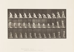 Talerz 253.Klęczące łokcie na krześle, ręce splecione, 1885 autorstwa Eadweard Muybridge