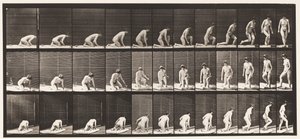 Płyta 255. Powstanie z klęczenia i obracania autorstwa Eadweard Muybridge