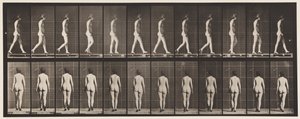 Płyta 25. Chodzenie z butami na wysokim obcasie autorstwa Eadweard Muybridge