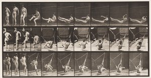 Tabliczka 261. Wsiadanie do hamaka, 1872-1885 autorstwa Eadweard Muybridge