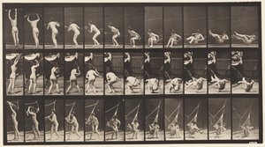 Płyta 262. Wychodzenie z hamaku autorstwa Eadweard Muybridge