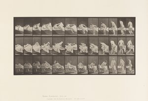Płyta 264. Wstawanie z łóżka i przygotowywanie się do klękania autorstwa Eadweard Muybridge