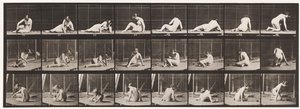 Płyta 266. Skręcanie i zmiana pozycji, gdy jesteś jeszcze na ziemi autorstwa Eadweard Muybridge