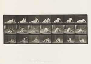 Tablica 267. Zawracanie i zmiana pozycji na ziemi, 1885 autorstwa Eadweard Muybridge