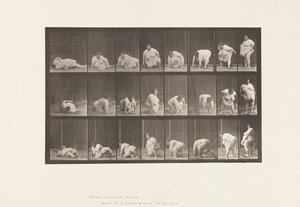 Tablica 268. Powstanie z ziemi, 1885 autorstwa Eadweard Muybridge