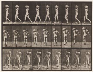 Płyta 26. Chodzenie, noszenie 75-funtowego kamienia na lewym ramieniu autorstwa Eadweard Muybridge