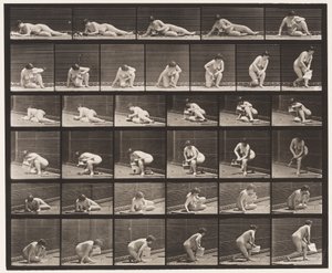 Tablica 270. Powstanie z ziemi z broszurą w lewej ręce autorstwa Eadweard Muybridge