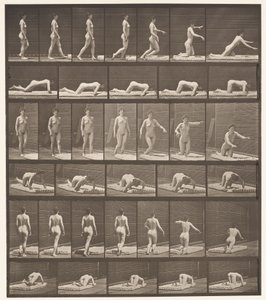 Płyta 272. Potykanie się i upadek na ziemię autorstwa Eadweard Muybridge