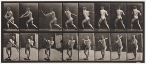 Tabliczka 278. Baseball; Mrugnięcie autorstwa Eadweard Muybridge