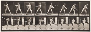Płytka 279.Base-piłka; Mrugnięcie, 1885 autorstwa Eadweard Muybridge