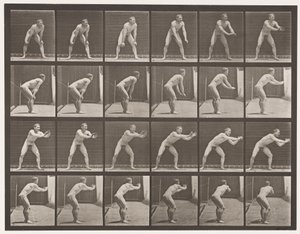 Płyta 280.Base-piłka; Łowienie, 1885 autorstwa Eadweard Muybridge