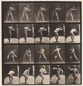 Płyta 282.Base-piłka; Łapanie i rzucanie, 1885 autorstwa Eadweard Muybridge