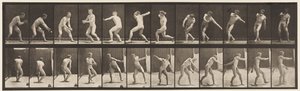 Płyta 284.Base-piłka; Łapanie i rzucanie, 1885 autorstwa Eadweard Muybridge