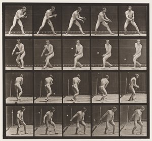 Tabliczka 288. Baseball; Błąd autorstwa Eadweard Muybridge