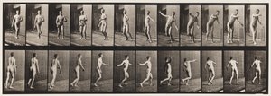 Płyta 289.Cricket; Kręgle z okrągłym ramieniem, 1885 autorstwa Eadweard Muybridge