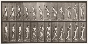 Płyta 291.Cricket; Mrugnięcie; Napęd, 1885 autorstwa Eadweard Muybridge