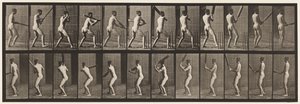 Płyta 292.Cricket; Mrugnięcie; Wycofać się, 1885 autorstwa Eadweard Muybridge