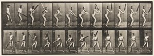 Płyta 293.Cricket; Mrugnięcie; Cięcie na plecach, 1885 autorstwa Eadweard Muybridge