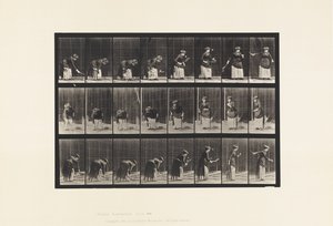 Płyta 295. Tenis na trawniku; Porcja autorstwa Eadweard Muybridge