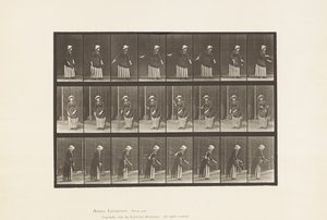 Płyta 296. Tenis na trawniku autorstwa Eadweard Muybridge