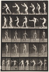 Płyta 300.Piłka nożna; kopnięcie z rzutu, 1885 autorstwa Eadweard Muybridge