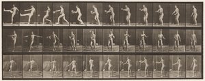 Płyta 301.Piłka nożna; Łotwa, 1885 autorstwa Eadweard Muybridge
