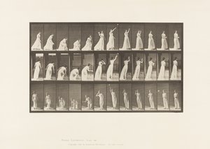 Płyta 305. Podnoszenie piłki i rzucanie nią, 1885 autorstwa Eadweard Muybridge