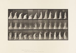 Płyta 306. Podnoszenie piłki i rzucanie nią, 1885 autorstwa Eadweard Muybridge