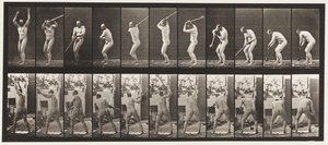 Płyta 308. Rzucanie młotem, 1885 autorstwa Eadweard Muybridge