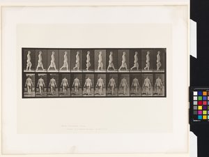 Płyta 30. Chodzenie, noszenie wiadra wody w każdej ręce autorstwa Eadweard Muybridge