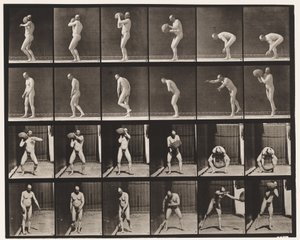 Płyta 312. Podnoszenie 75-funtowego kamienia autorstwa Eadweard Muybridge