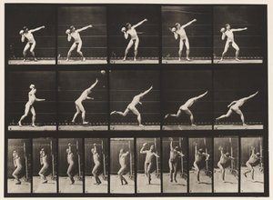 Płyta 314. Podnoszenie 20-funtowego kamienia autorstwa Eadweard Muybridge