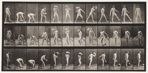 Płyta 317. Podnoszenie 70-funtowego kamienia autorstwa Eadweard Muybridge